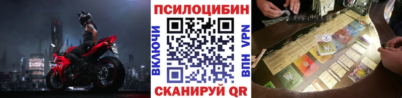 Галлюциногенные грибы Psilocybine cubensis Высоковск