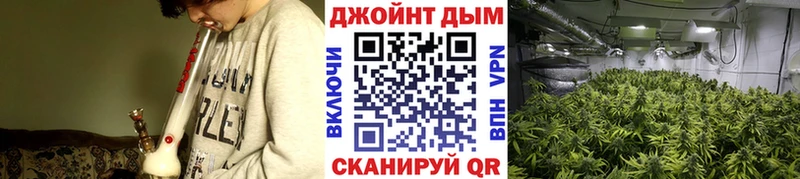 Бошки Шишки тримм  Купить где  Высоковск 